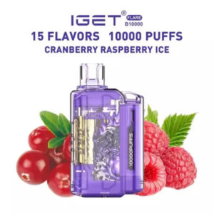 IGET FLARE B10000 – Blueberry Mint